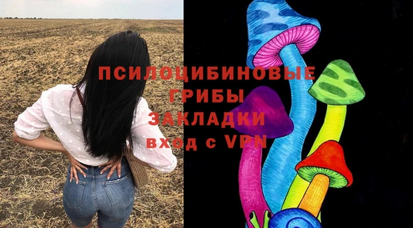 прущая мука Алзамай