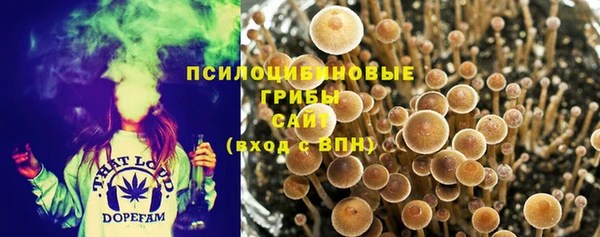прущая мука Алзамай
