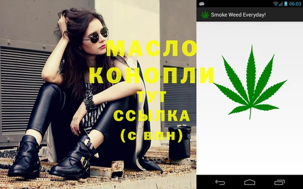 сатива Алексеевка