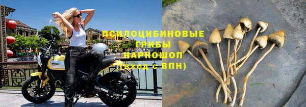 прущая мука Алзамай