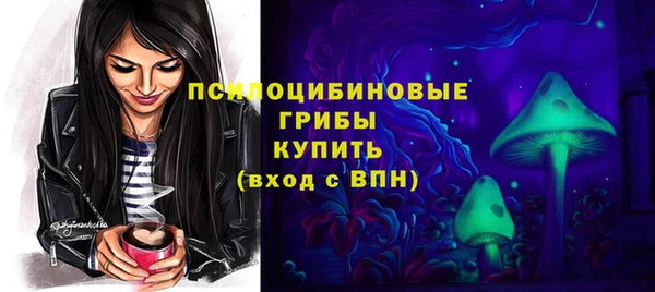 сатива Алексеевка