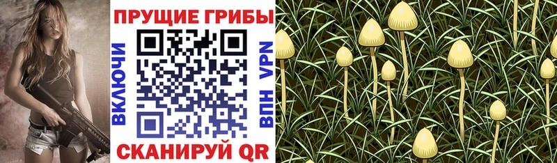 Галлюциногенные грибы Cubensis Артёмовск