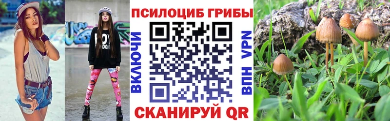 где продают наркотики Артёмовск Псилоцибиновые грибы прущие грибы